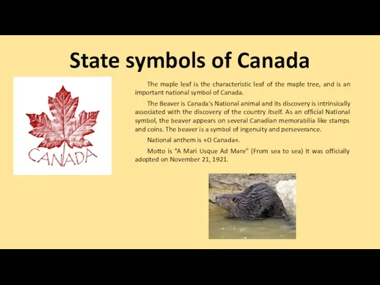 State symbols of Canada The maple leaf is the characteristic