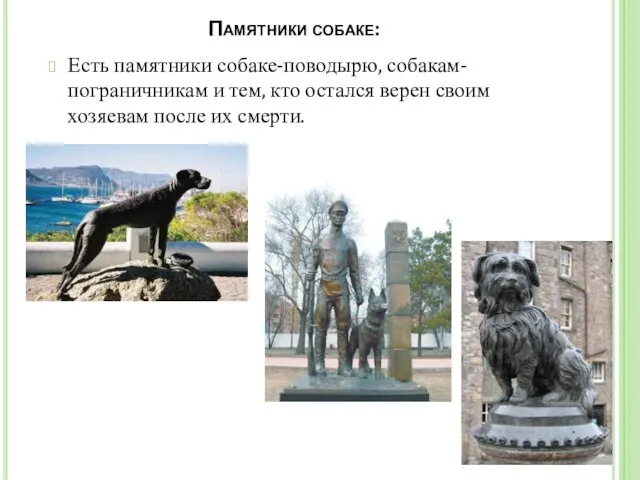 Памятники собаке: Есть памятники собаке-поводырю, собакам-пограничникам и тем, кто остался верен своим хозяевам после их смерти.
