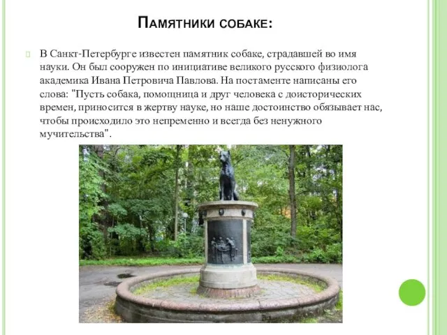 Памятники собаке: В Санкт-Петербурге известен памятник собаке, страдавшей во имя науки. Он был