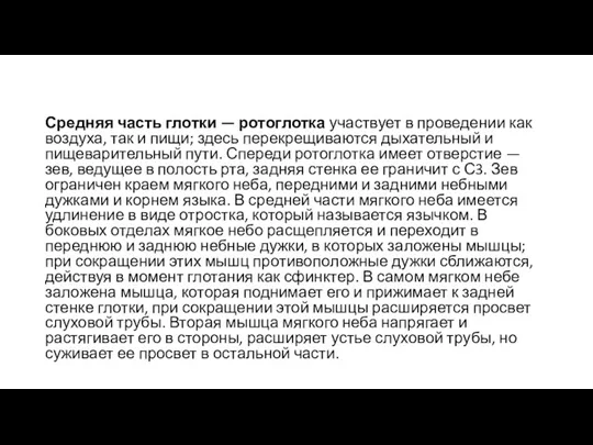 Средняя часть глотки — ротоглотка участвует в проведении как воздуха,