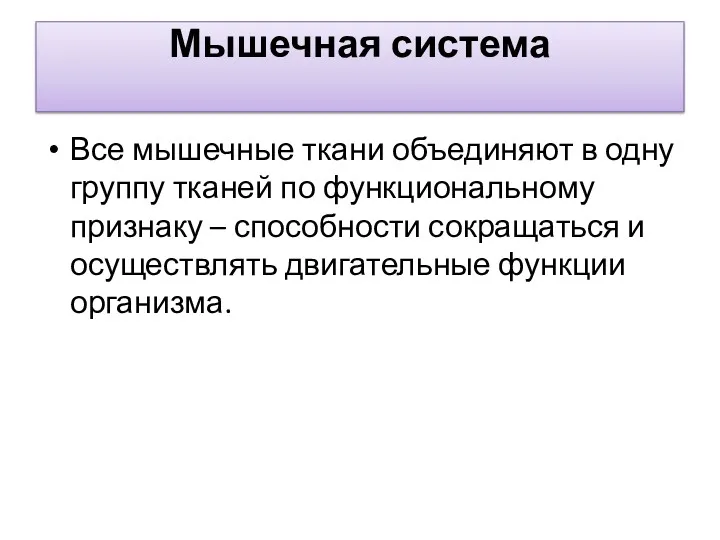 Мышечная система Все мышечные ткани объединяют в одну группу тканей по функциональному признаку