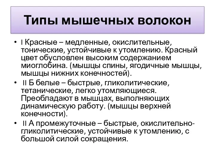 Типы мышечных волокон I Красные – медленные, окислительные, тонические, устойчивые к утомлению. Красный