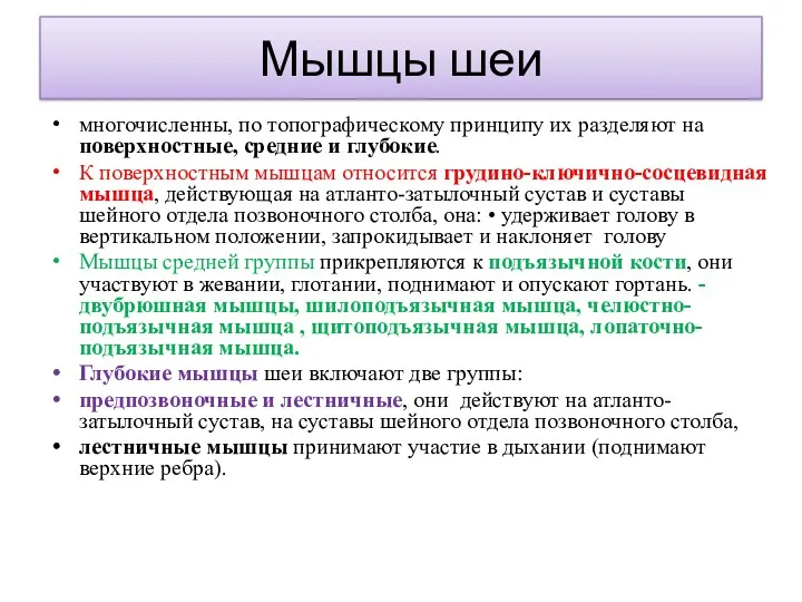 Мышцы шеи многочисленны, по топографическому принципу их разделяют на поверхностные,