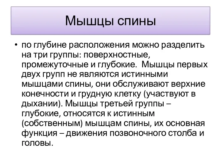 Мышцы спины по глубине расположения можно разделить на три группы: поверхностные, промежуточные и