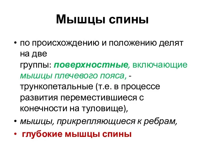 по происхождению и положению делят на две группы: поверхностные, включающие