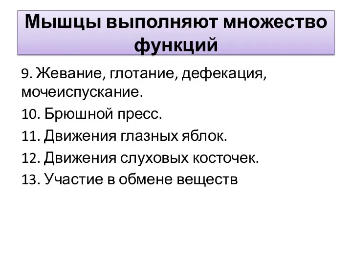 Мышцы выполняют множество функций 9. Жевание, глотание, дефекация, мочеиспускание. 10. Брюшной пресс. 11.