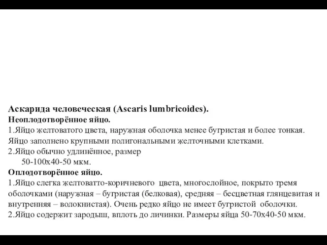 Аскарида человеческая (Ascaris lumbricoides). Неоплодотворённое яйцо. 1.Яйцо желтоватого цвета, наружная