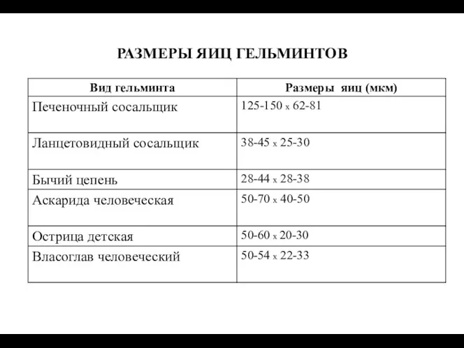 РАЗМЕРЫ ЯИЦ ГЕЛЬМИНТОВ