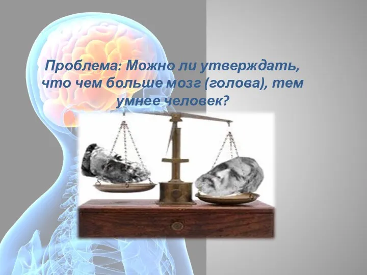 Проблема: Можно ли утверждать, что чем больше мозг (голова), тем умнее человек?