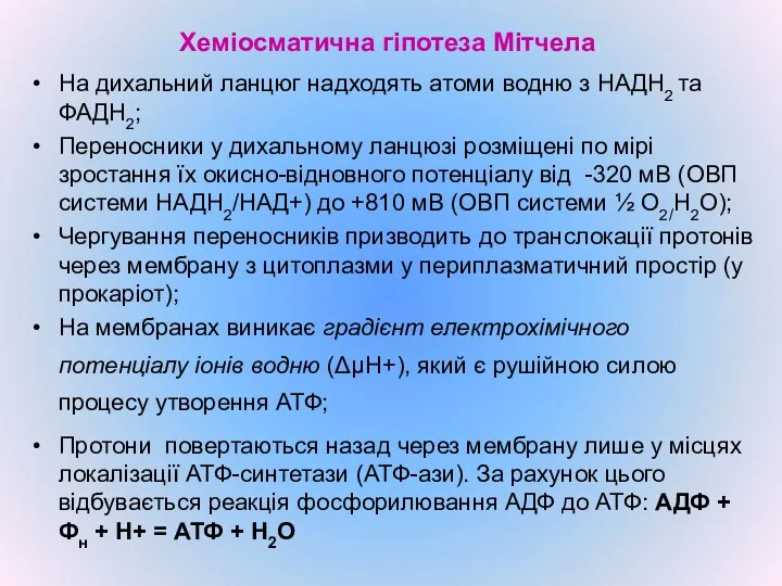 Хеміосматична гіпотеза Мітчела На дихальний ланцюг надходять атоми водню з