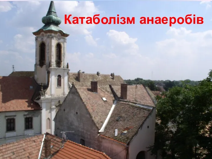 Катаболізм анаеробів