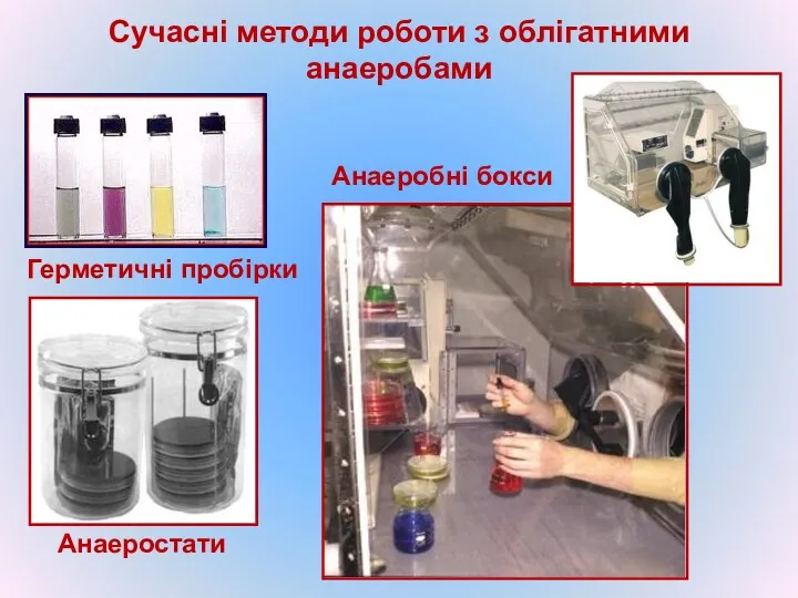 Сучасні методи роботи з облігатними анаеробами Герметичні пробірки Анаеростати Анаеробні бокси