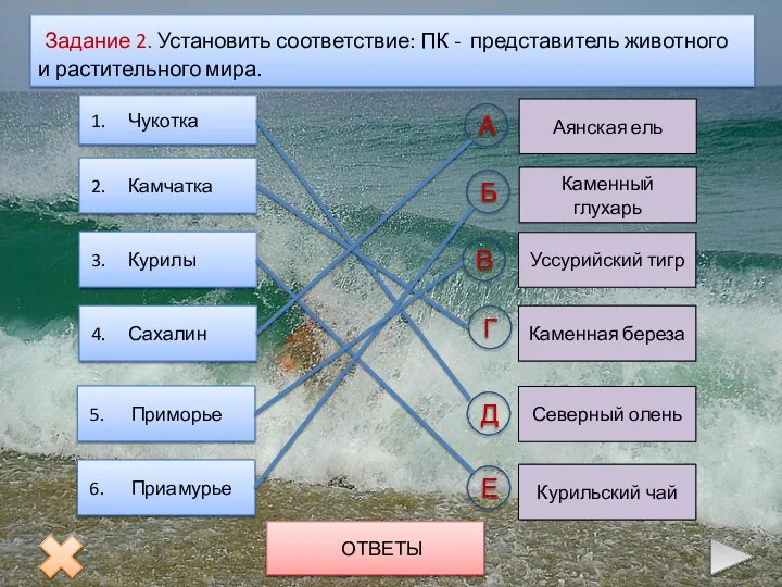 Задание 2. Установить соответствие: ПК - представитель животного и растительного