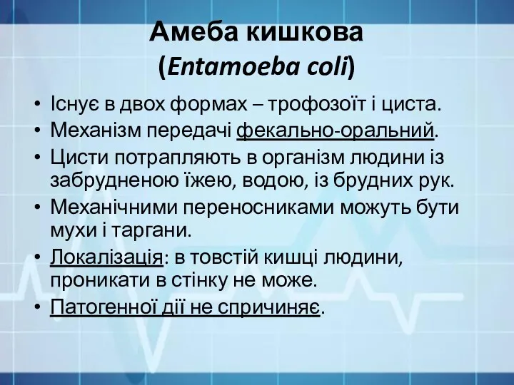 Амеба кишкова (Entamoeba coli) Існує в двох формах – трофозоїт