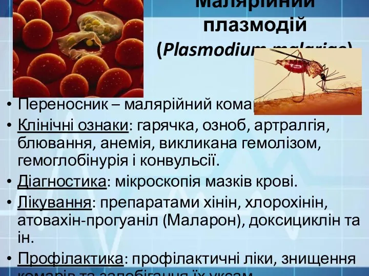 Малярійний плазмодій (Plasmodium malariae) Переносник – малярійний комар. Клінічні ознаки: