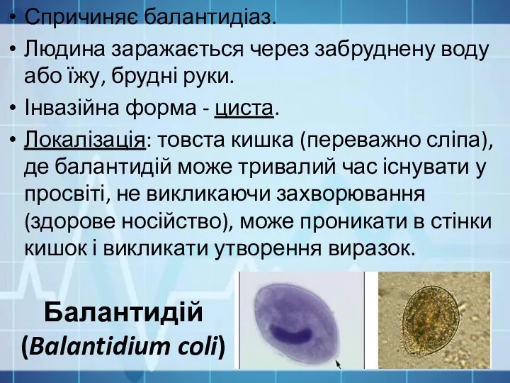 Балантидій (Balantidium coli) Спричиняє балантидіаз. Людина заражається через забруднену воду