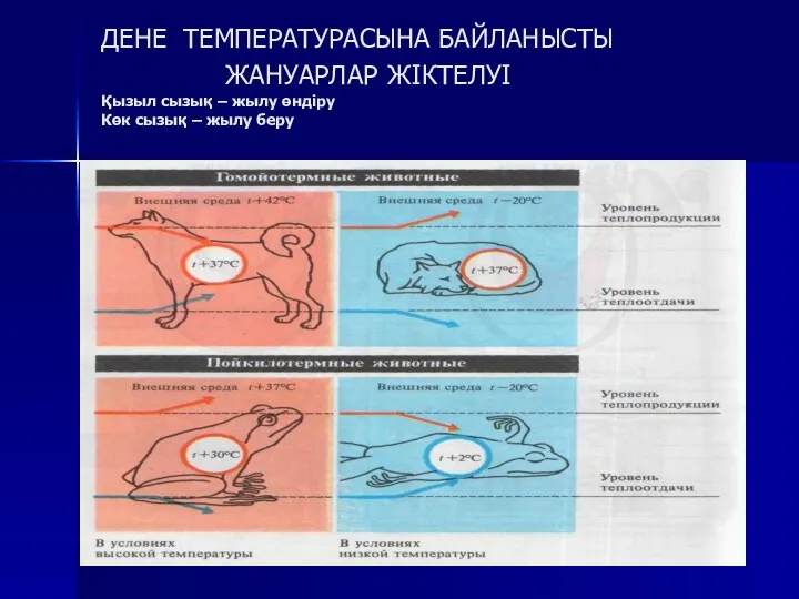 ДЕНЕ ТЕМПЕРАТУРАСЫНА БАЙЛАНЫСТЫ ЖАНУАРЛАР ЖІКТЕЛУІ Қызыл сызық – жылу өндіру Көк сызық – жылу беру