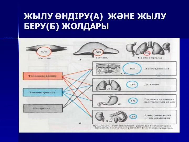 ЖЫЛУ ӨНДІРУ(А) ЖӘНЕ ЖЫЛУ БЕРУ(Б) ЖОЛДАРЫ