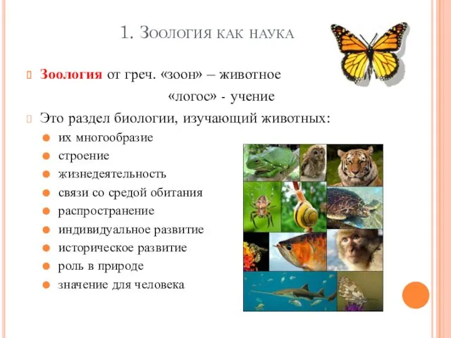 1. Зоология как наука Зоология от греч. «зоон» – животное