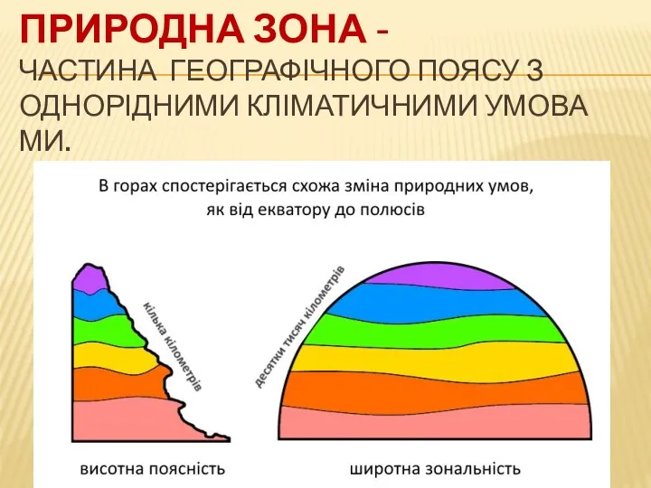 ПРИРОДНА ЗОНА - ЧАСТИНА ГЕОГРАФІЧНОГО ПОЯСУ З ОДНОРІДНИМИ КЛІМАТИЧНИМИ УМОВАМИ.