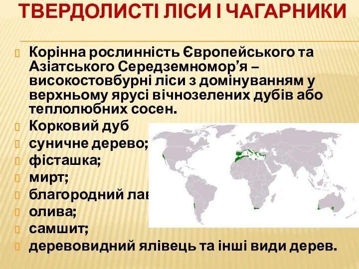 ТВЕРДОЛИСТІ ЛІСИ І ЧАГАРНИКИ Корінна рослинність Європейського та Азіатського Середземномор’я