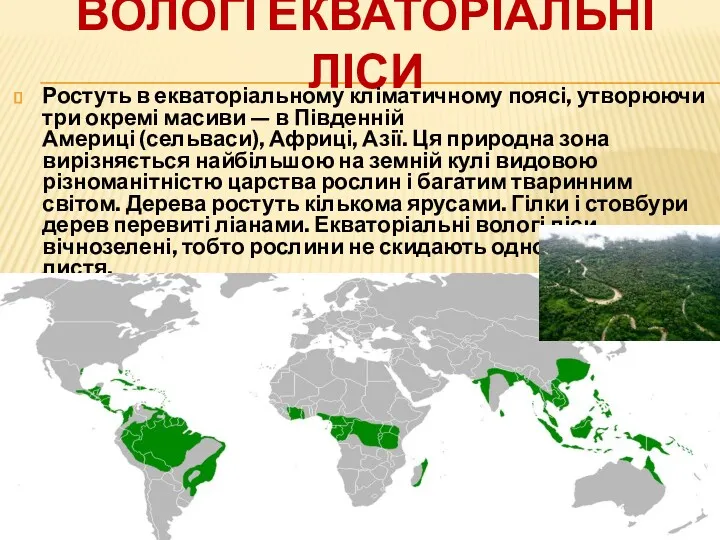 ВОЛОГІ ЕКВАТОРІАЛЬНІ ЛІСИ Ростуть в екваторіальному кліматичному поясі, утворюючи три