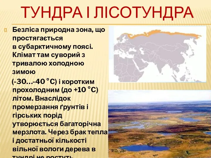 ТУНДРА І ЛІСОТУНДРА Безліса природна зона, що простягається в субарктичному