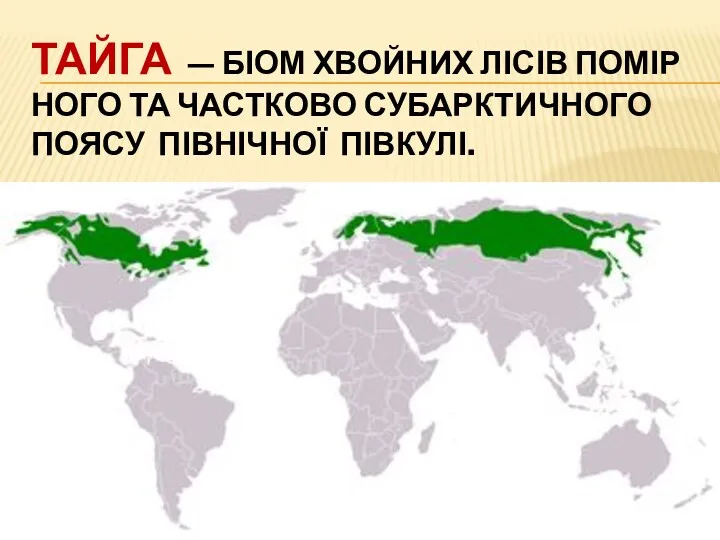 ТАЙГА — БІОМ ХВОЙНИХ ЛІСІВ ПОМІРНОГО ТА ЧАСТКОВО СУБАРКТИЧНОГО ПОЯСУ ПІВНІЧНОЇ ПІВКУЛІ.