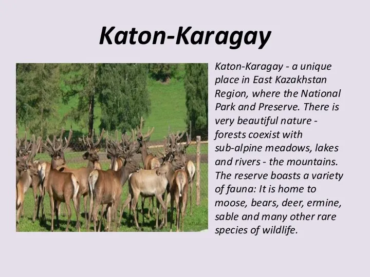 Katon-Karagay Katon-Karagay - a unique place in East Kazakhstan Region,
