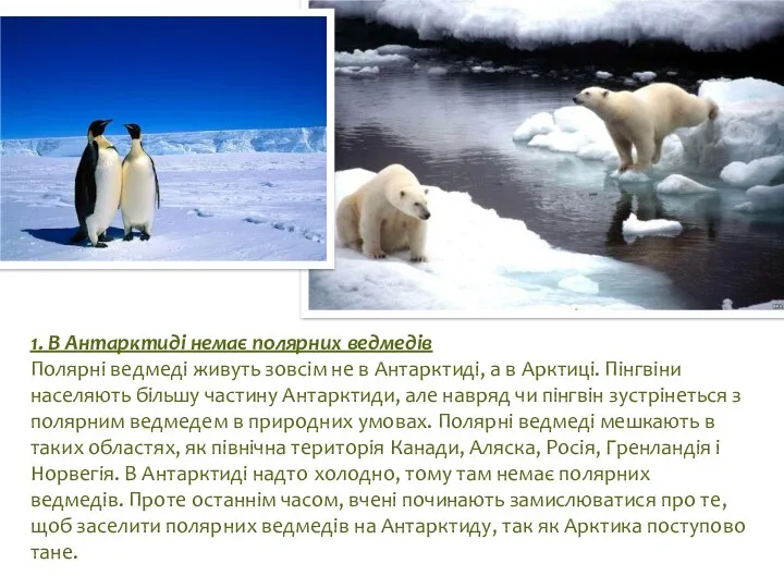 1. В Антарктиді немає полярних ведмедів Полярні ведмеді живуть зовсім