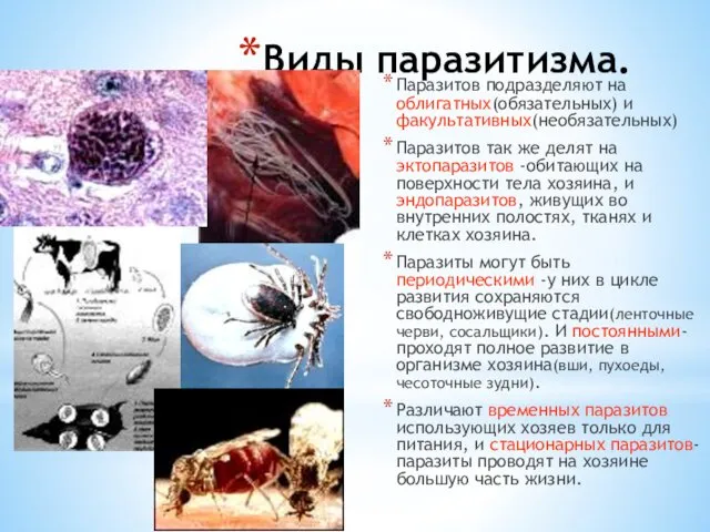 Виды паразитизма. Паразитов подразделяют на облигатных(обязательных) и факультативных(необязательных) Паразитов так