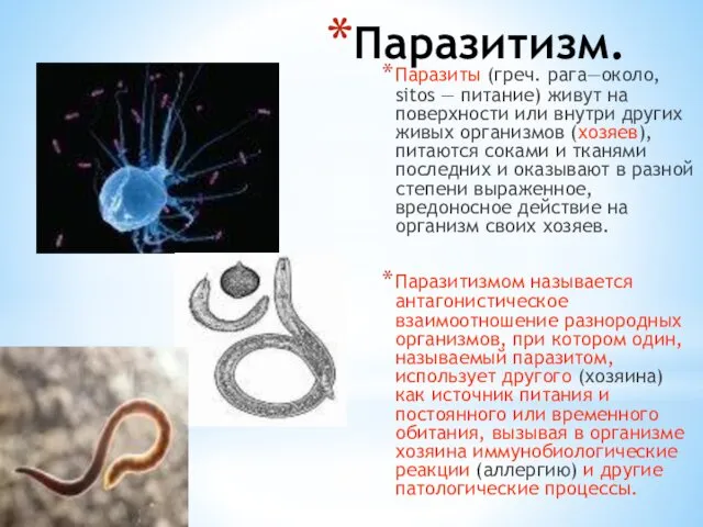 Паразитизм. Паразиты (греч. рага—около, sitos — питание) живут на поверхности