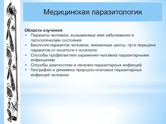 Медицинская паразитология Области изучения: Паразиты человека, вызываемые ими заболевания и