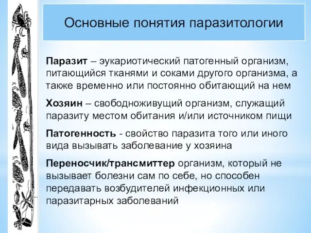 Основные понятия паразитологии Паразит – эукариотический патогенный организм, питающийся тканями