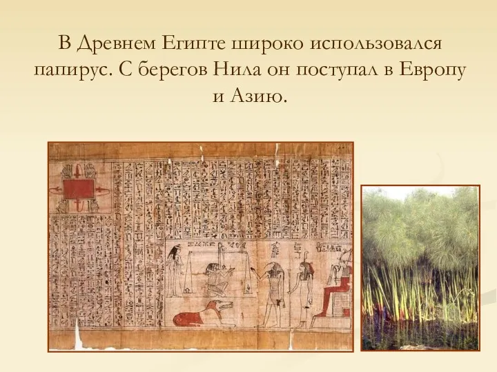 В Древнем Египте широко использовался папирус. С берегов Нила он поступал в Европу и Азию.