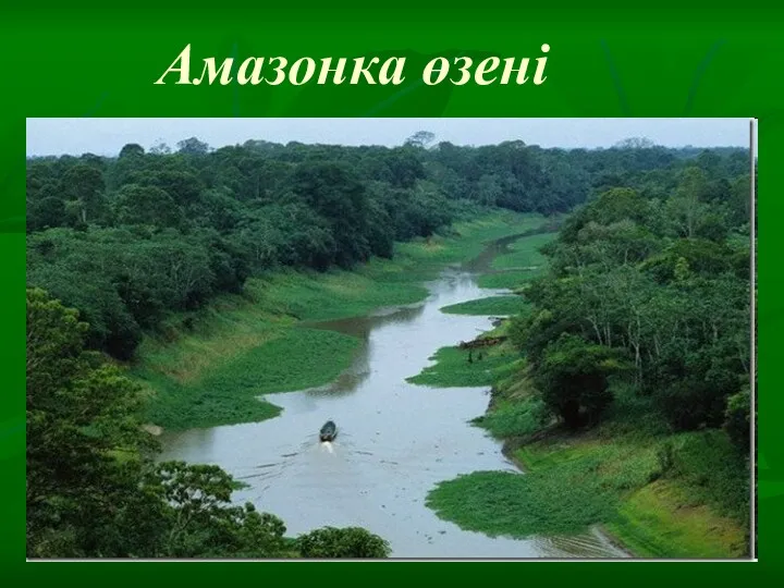 Амазонка өзені