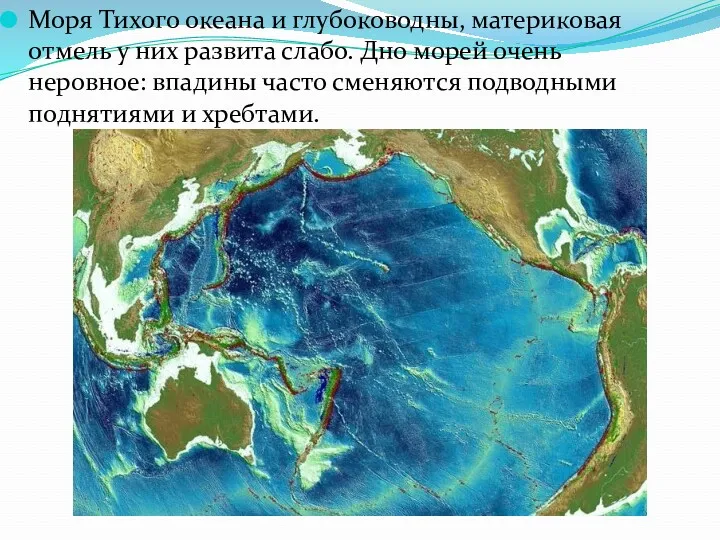 Моря Тихого океана и глубоководны, материковая отмель у них развита слабо. Дно морей