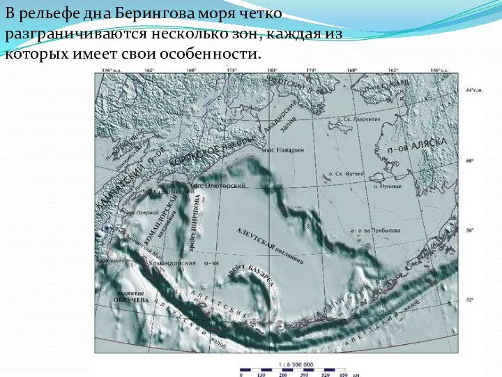 В рельефе дна Берингова моря четко разграничиваются несколько зон, каждая из которых имеет свои особенности.