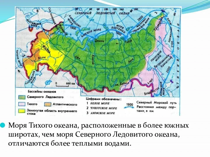 Моря Тихого океана, расположенные в более южных широтах, чем моря