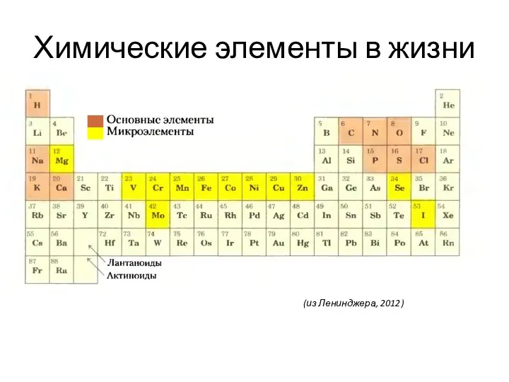 Химические элементы в жизни (из Ленинджера, 2012)