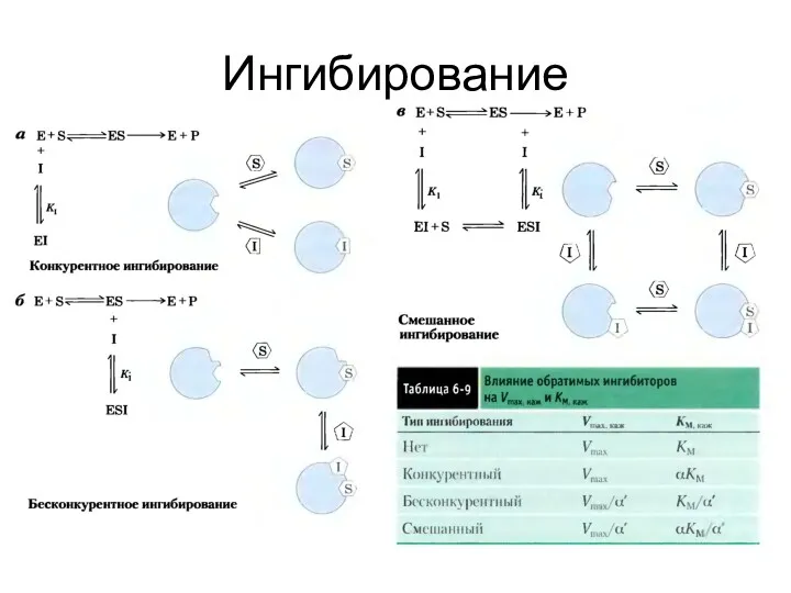 Ингибирование