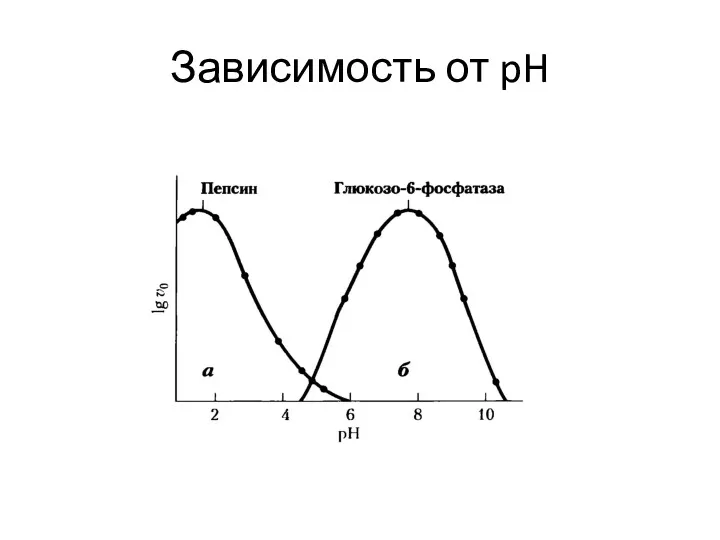 Зависимость от pH