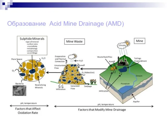 Образование Acid Mine Drainage (AMD)