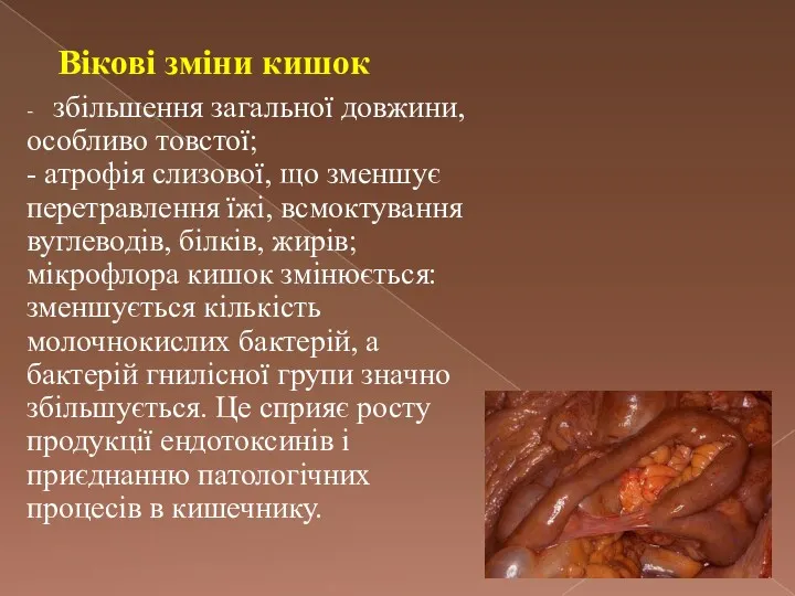 Вікові зміни кишок - збільшення загальної довжини, особливо товстої; -