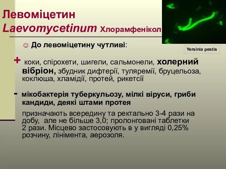 Левоміцетин Laevomycetinum Хлорамфенікол ☺ До левоміцетину чутливі: + коки, спірохети,