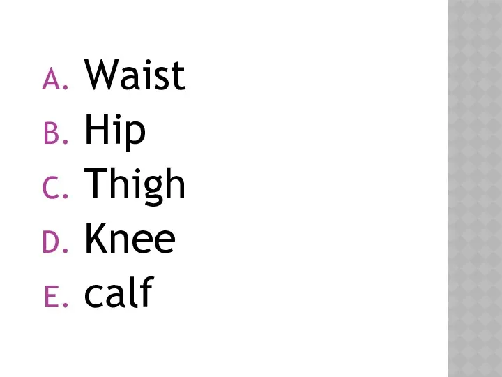 Waist Hip Thigh Knee calf
