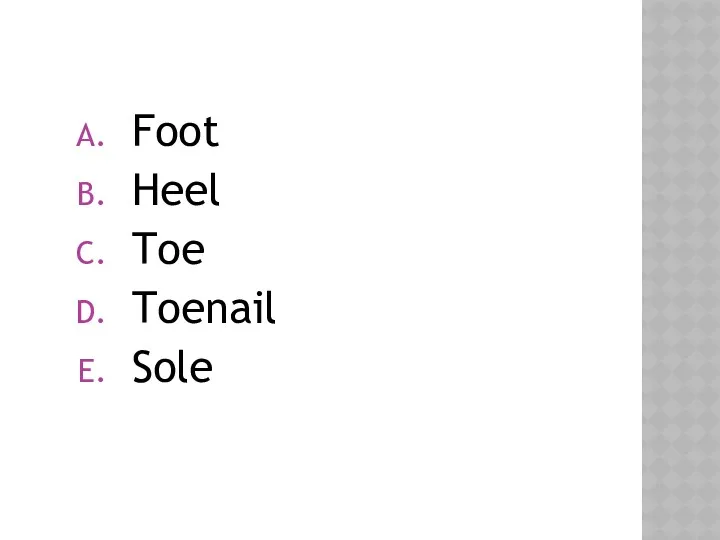 Foot Heel Toe Toenail Sole
