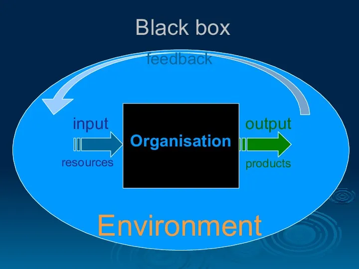 Black box Organisation Environment input output resources products feedback