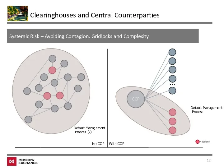 Clearinghouses and Central Counterparties Systemic Risk – Avoiding Contagion, Gridlocks and Complexity CCP