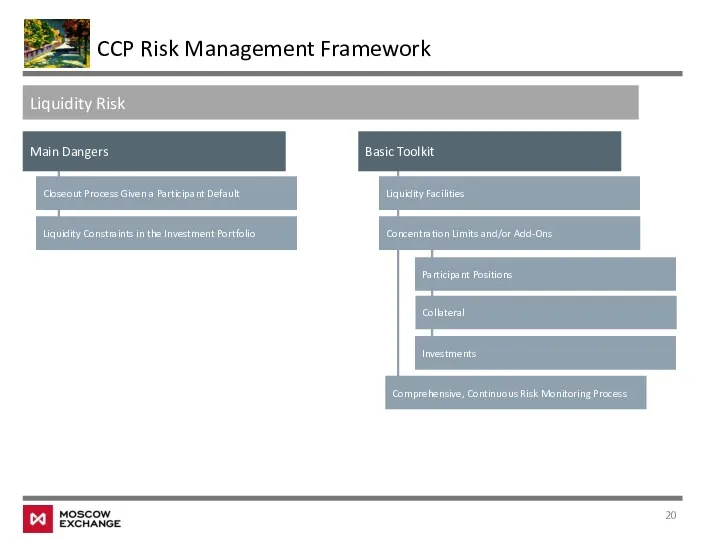 CCP Risk Management Framework Main Dangers Liquidity Facilities Basic Toolkit Closeout Process Given
